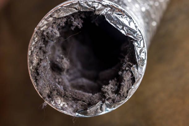 Best Air Duct Sanitizing Services  in USA